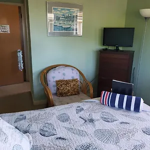 https://the-beach-hale-critter-refuge.lahainahotels.net